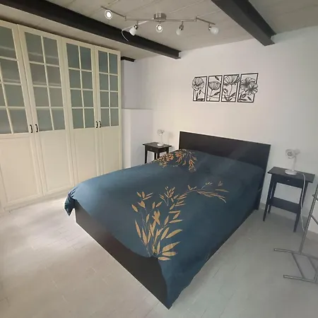 Serendipity House - Vicino Ospedale Sant'orsola E Centro Citta *